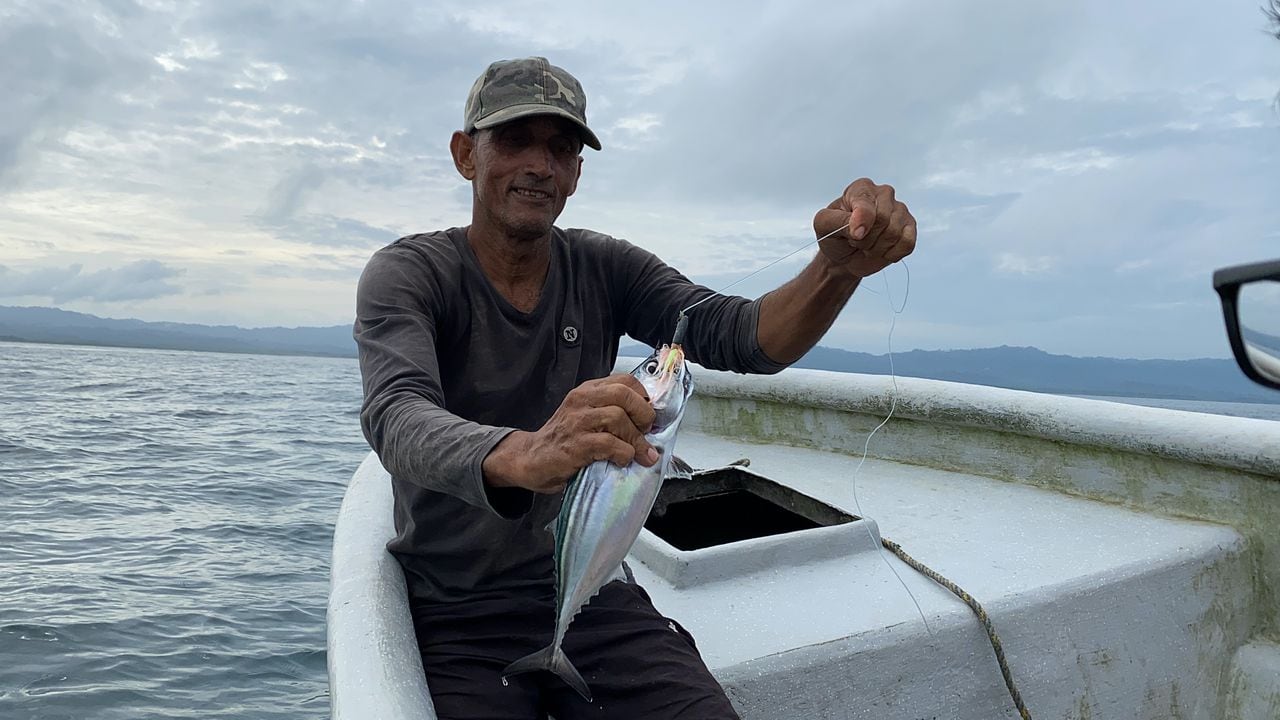 En Bahía Solano, al noroccidente del Chocó, alrededor de 500 personas se dedican a la pesca.