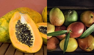El mango y la papaya son frutas con una gran variedad de nutrientes para el organismo.
