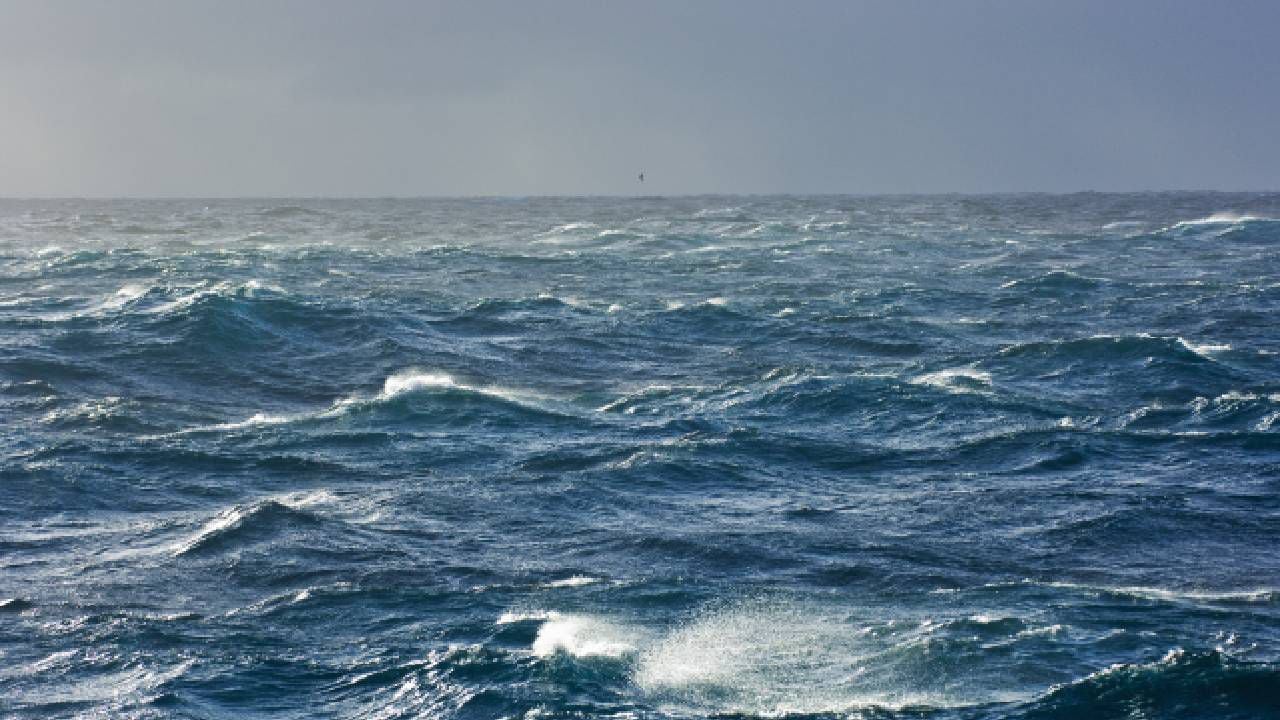 El Cinturón de la dorsal Mesoatlántica, está ubicado a lo largo del Océano Atlántico.