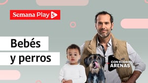 Bebé y perros | Rodrigo Arenas en EduCANdo Manadas