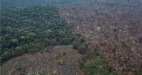 Incendios y deforestación en Amazonia brasileña