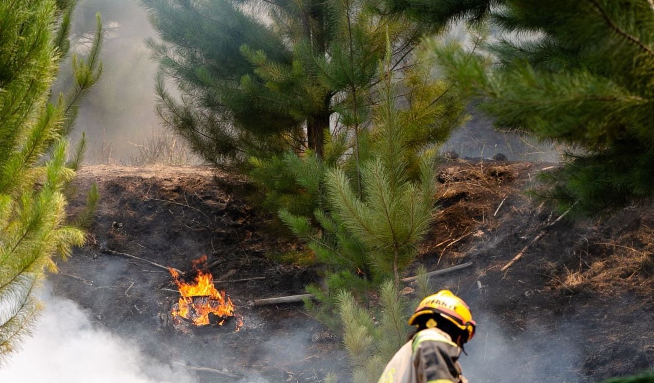 Cerca de 270 mil hectáreas de bosques han sido quemadas por las llamas