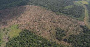 Deforestación el el parque Tinigua. Foto: Rodrigo Botero