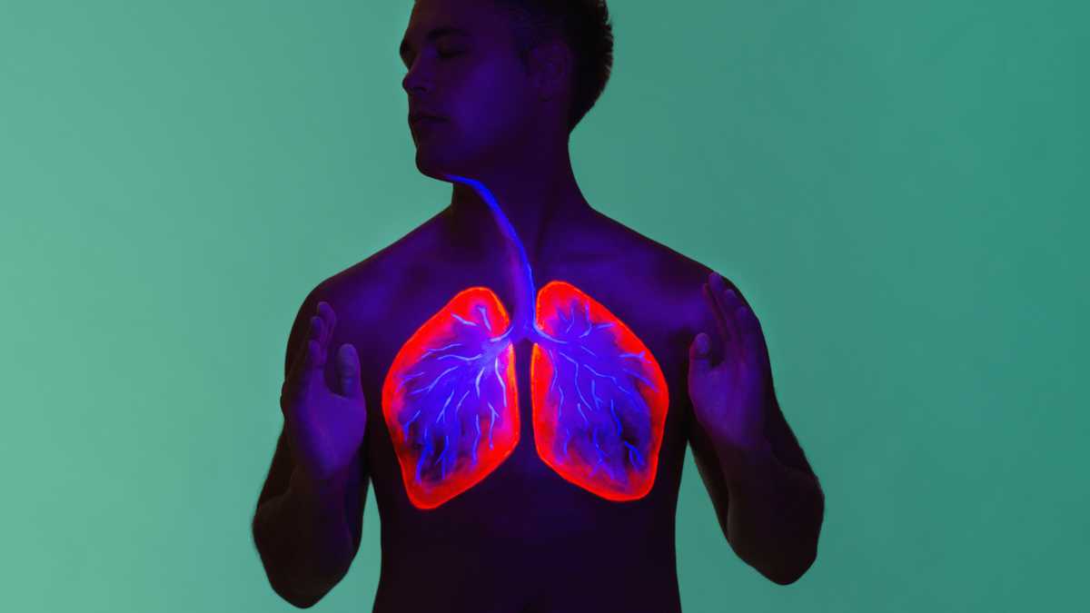 ¿Cómo mantener sanos los pulmones? Estas son las recomendaciones que dan los expertos