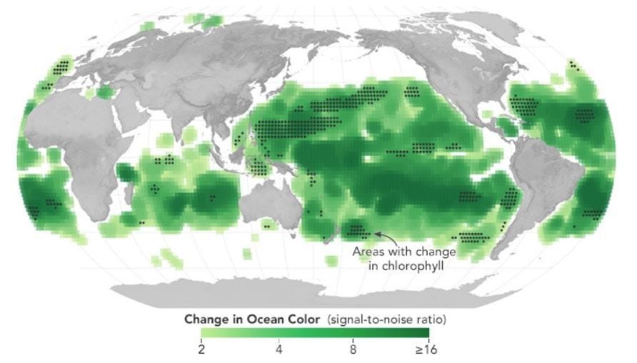 Cambios en el color del océano en los últimos 20 años