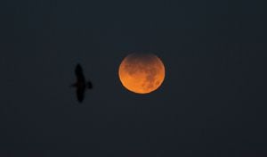 El cielo de Galicia en España pudo observar la luna roja gracias al eclipse