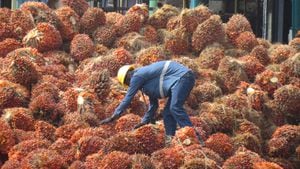 La industria del aceite de palma muestra signos de crecimiento positivo.
