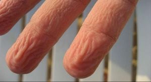 Investigadores británicos han dado una posible explicación para los dedos arrugados como ciruelas pasas cuando pasamos un tiempo en el agua.