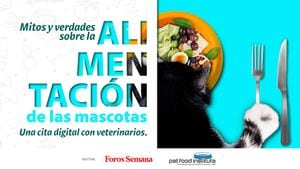 ‘Mitos y verdades sobre la alimentación de las mascotas: Una cita digital con veterinarios’