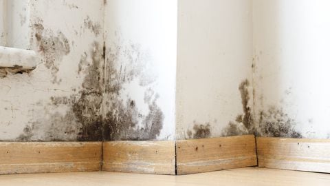 La humedad puede dañar la pintura de las paredes.