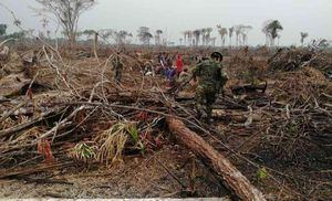 Once personas fueron capturadas en Vistahermosa (Meta) por deforestar cerca de 80 hectáreas de bosque nativo y selvático. Foto: Fuerza Tarea Conjunta Omega