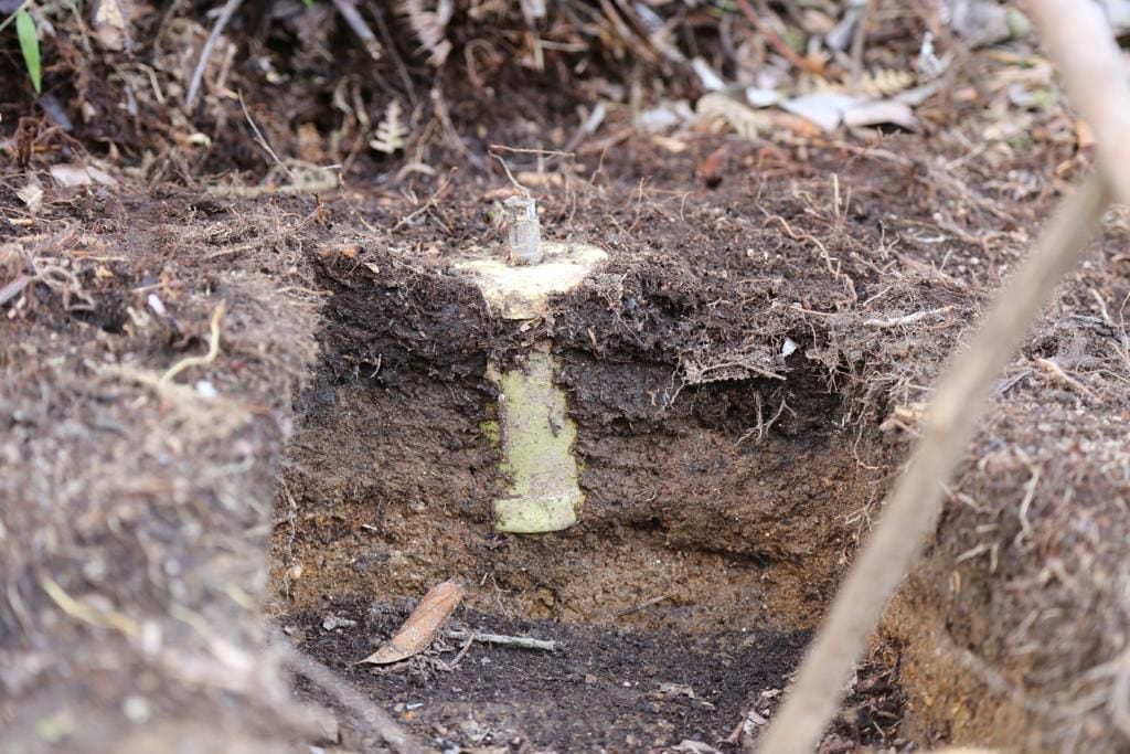 El Gobierno declaró once municipios de Colombia como libres de sospecha de minas antipersonal.