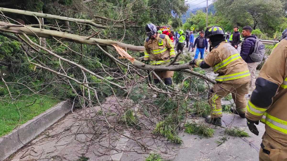 Bombero de Chapinero atienden emergencia tras la caída de varios arboles en vía a la calera este sábado 30 de abril de 2022.