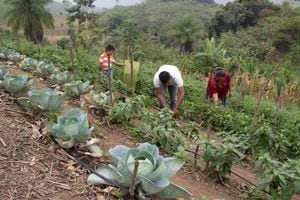 El WFP pondrá en marcha en Bogotá HZERO, el primer centro de innovación en nutrición y seguridad alimentaria de la región.