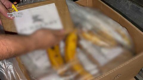 En bananos procedentes de Colombia y Ecuador, delincuentes camuflaron más de seis toneladas de cocaína.