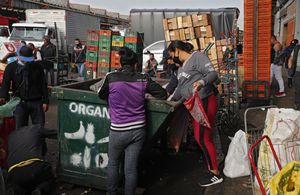 Personas buscando alimentos en los residuos orgánicos