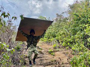 Selva de Guaviare, donde habita la comunidad  indígena Makuna