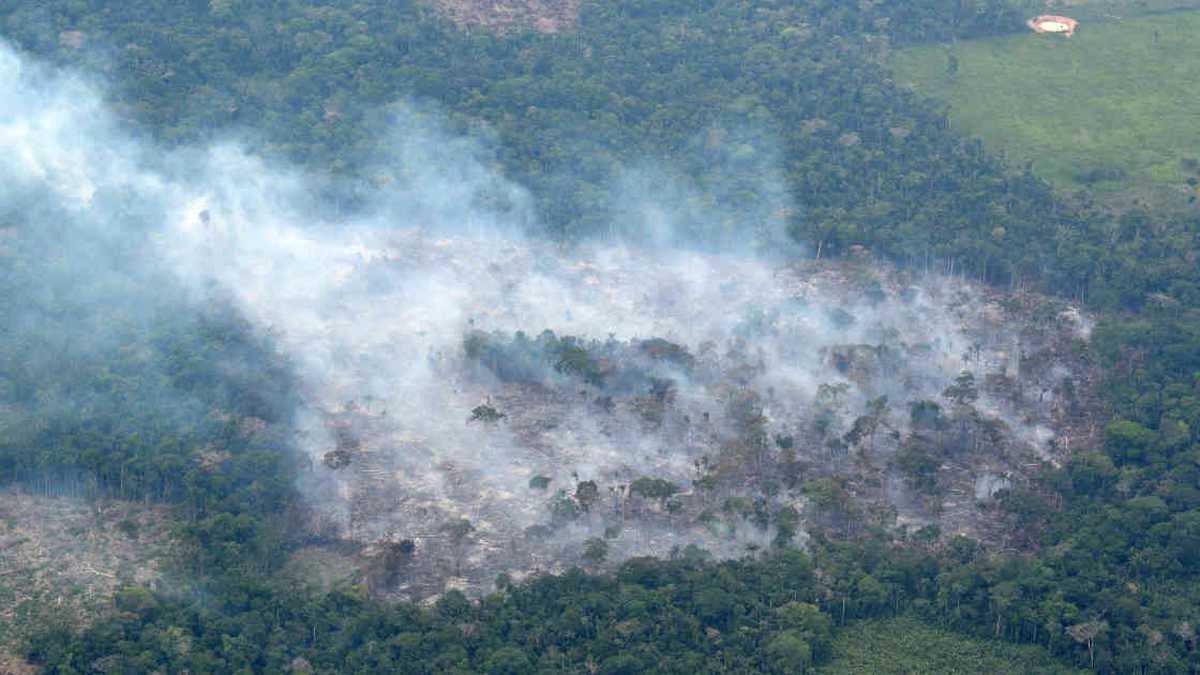 Más de 20 incendios se vienen registrando en diferentes puntos de la Amazonia colombiana. Foto: Rodrigo Botero - Colombia hoy.  