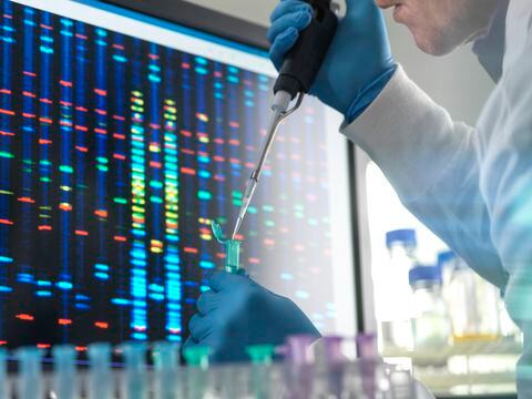 Con CRISPR, ahora es posible modificar el código genético de las células vivas.