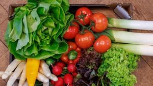 Incluir verduras es esencial para mantener un peso saludbale.  Photo: Daniel Karmann/dpa (Photo by Daniel Karmann/picture alliance via Getty Images)