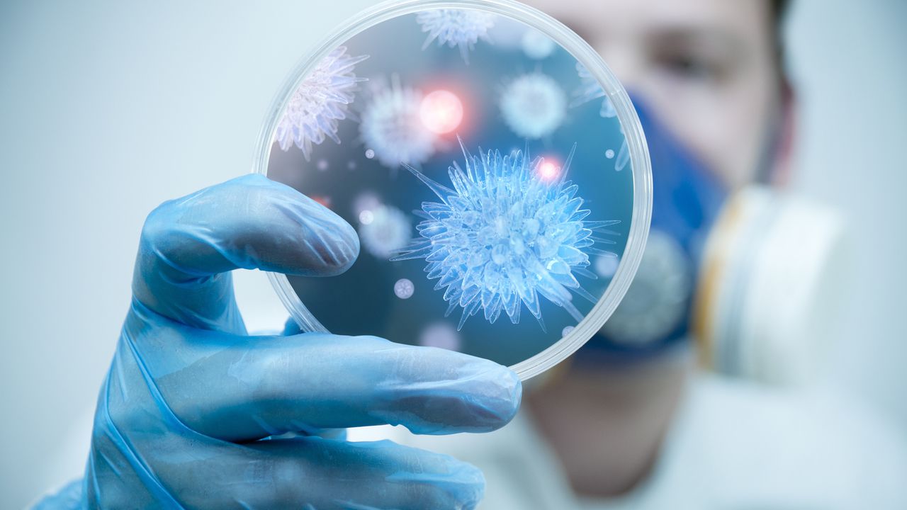 Un científico sostiene una placa con virus y células bacterianas