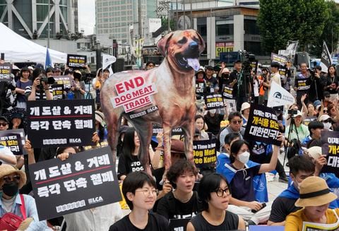 Activistas por los derechos de los animales organizan una manifestación oponiéndose a la cultura tradicional de Corea del Sur de comer carne de perro en Seúl, Corea del Sur, el 8 de julio de 2023.