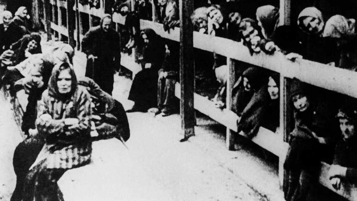 Encuesta revela un "impactante" desconocimiento por parte de los millenials sobre el Holocausto.
