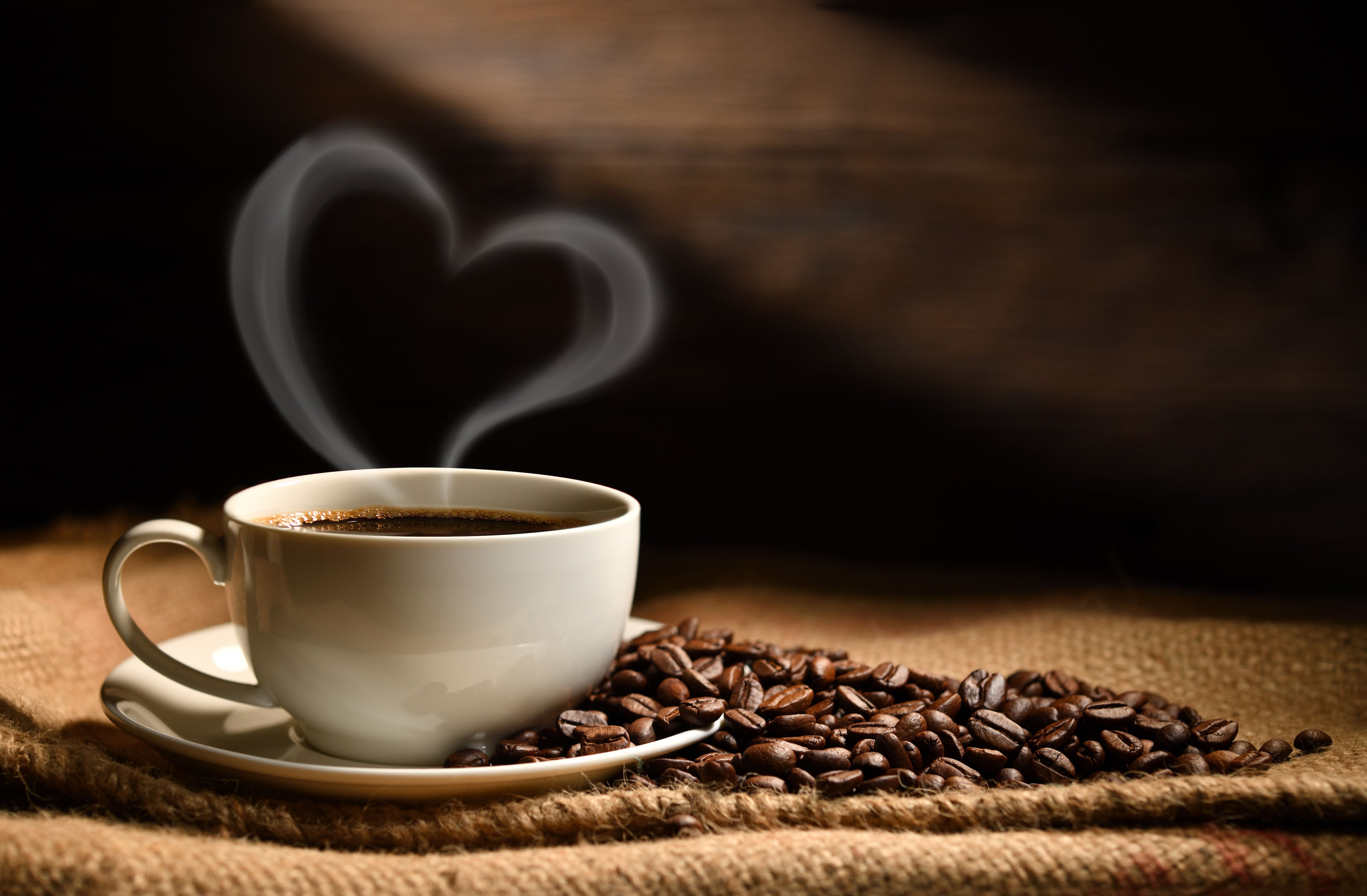 Cómo preparar la taza de café perfecta, según la ciencia - Infobae