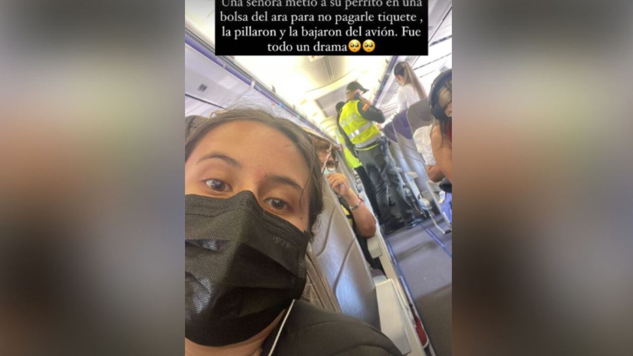 Mujer intentó esconder a su perro en una bolsa para no pagarle tiquete y la bajaron del avión