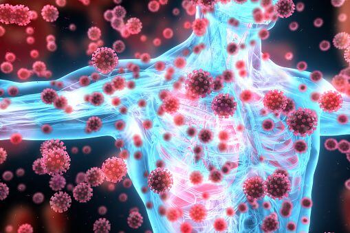 The immune system is the body's defense system against infection.