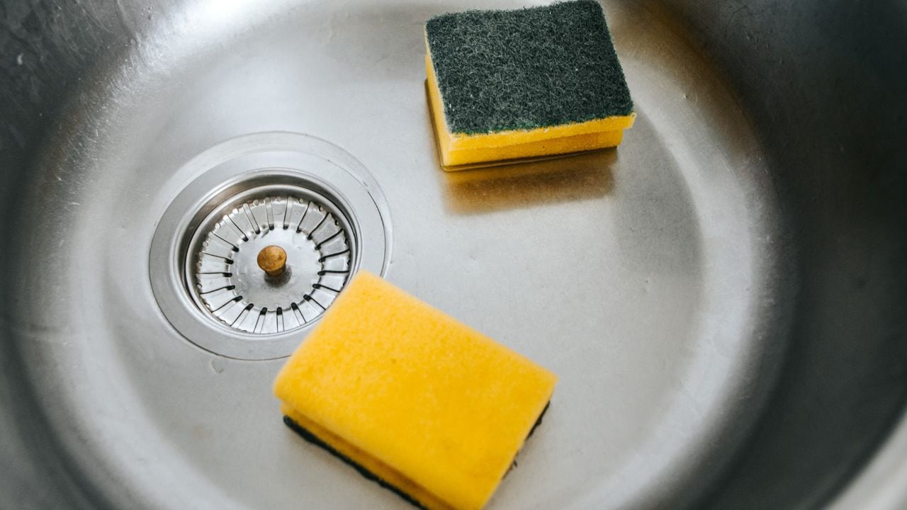 Las esponja de cocina suelen ser un refugio de bacterias.