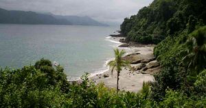 El Golfo de Tribugá es uno de los lugares más biodiversos del planeta. Foto: David Paéz/Parques Nacionales Naturales 