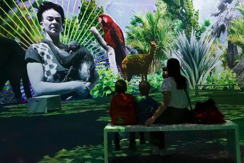 Exposición inmersiva “Frida Kahlo, La Vida de un Icono”
Frida Kahlo