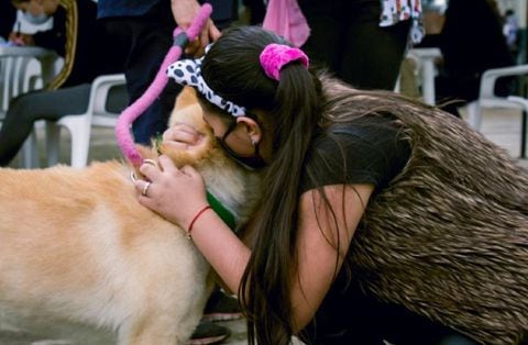 Adopción de perros en Bogotá