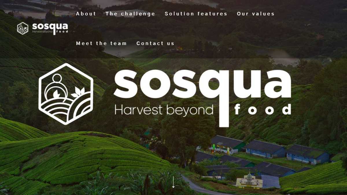 A través de la app, que fue denominada Sosqua, las jóvenes colombianas fueron reconocidas, junto a sus otros cuatro compañeros, dentro del Space Apps Covid-19 Challenge organizado por la agencia espacial estadounidense.