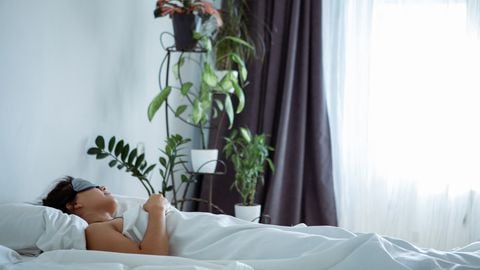Despertar renovado: la influencia de las plantas en el sueño nocturno