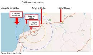 Identificación de la zona: gripe aviar en Cartagena