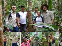 La FCDS y el Instituto Humboldt iniciaron la instalación de 38 dispositivos acústicos en 15 predios de familias campesinas del Guaviare que lideran proyectos de forestería comunitaria.