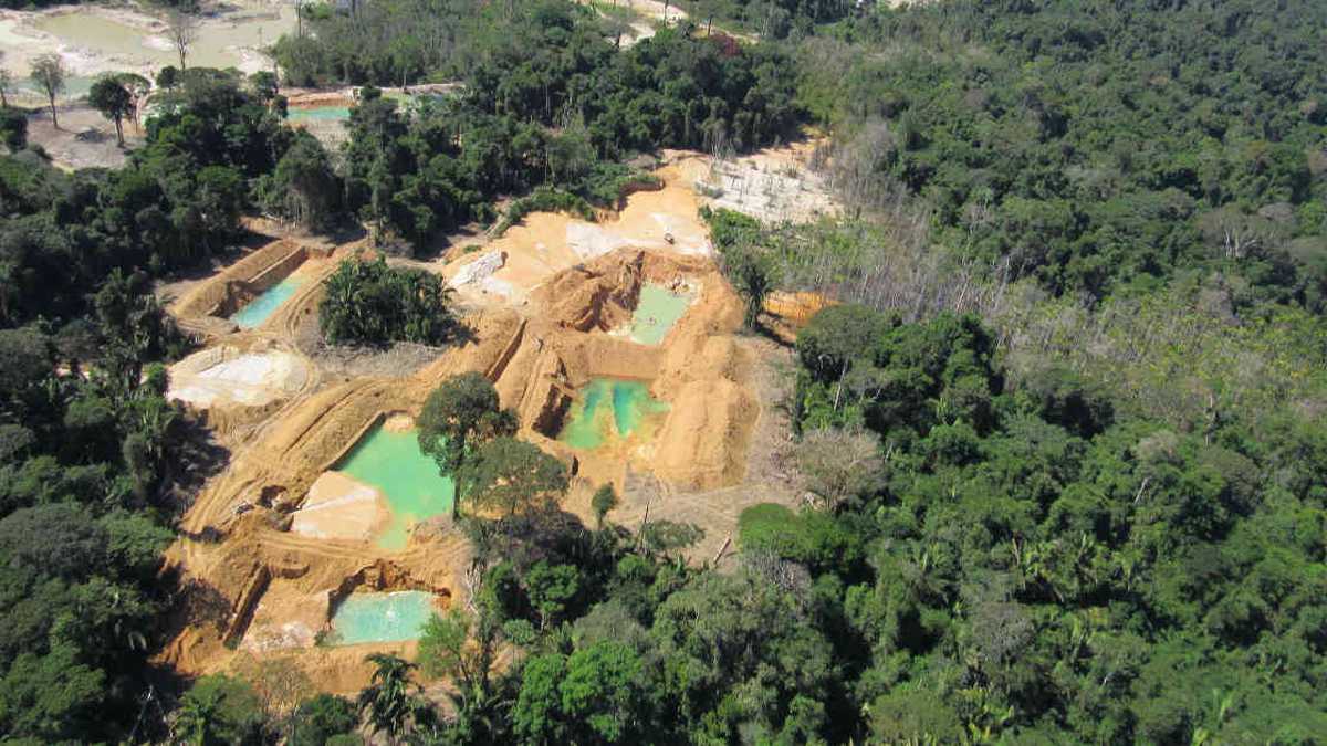 En 2019 la minería ilegal tumbó 10.500 hectáreas de bosque. Extracción de oro Brasil - Foto: Paulo de Tarso Moreira Oliveira/ MPF