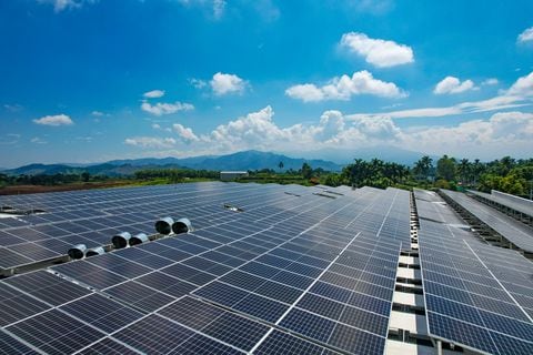 Paneles solares: ¿cómo las empresas pueden reducir costos y ser sostenibles?