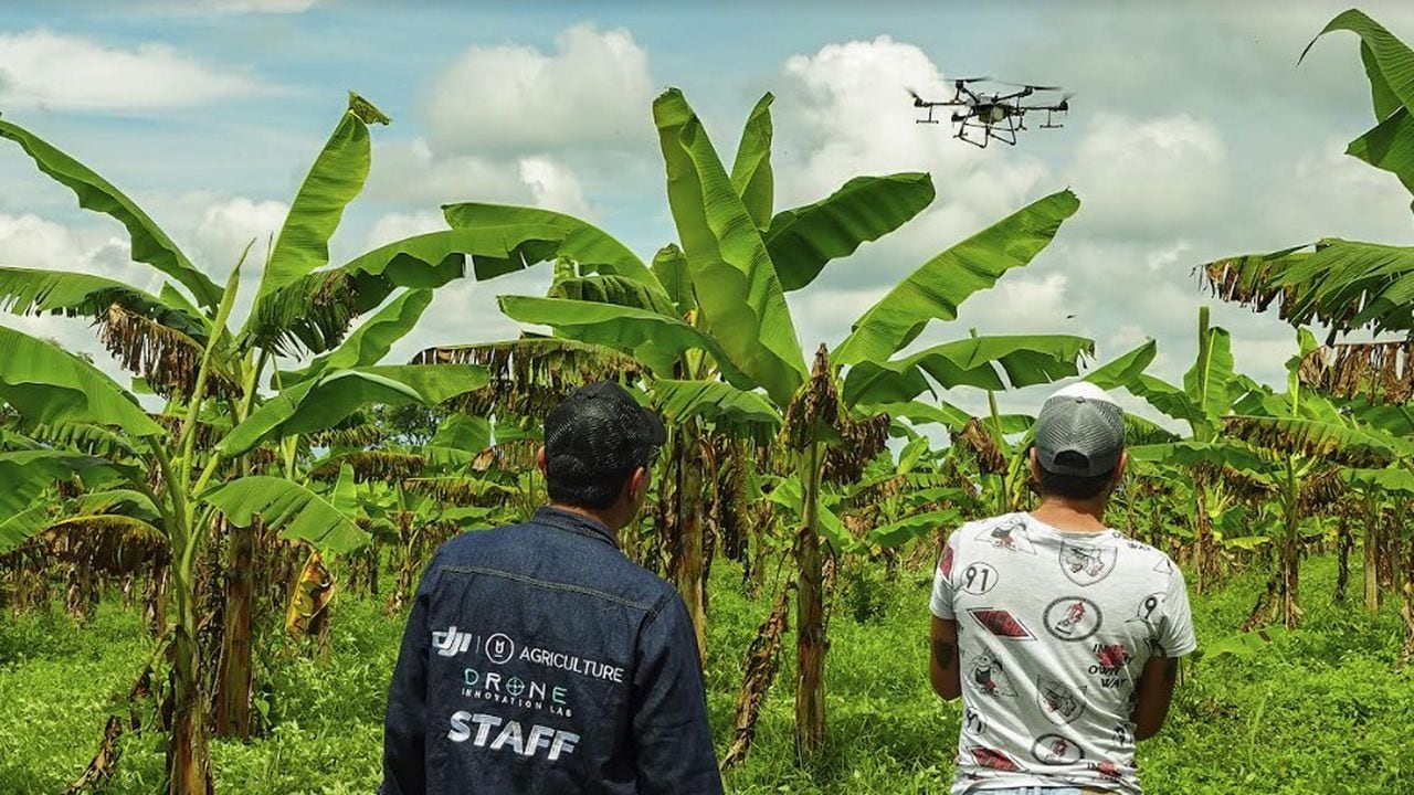 Drones en el sector de la agricultora colombiana