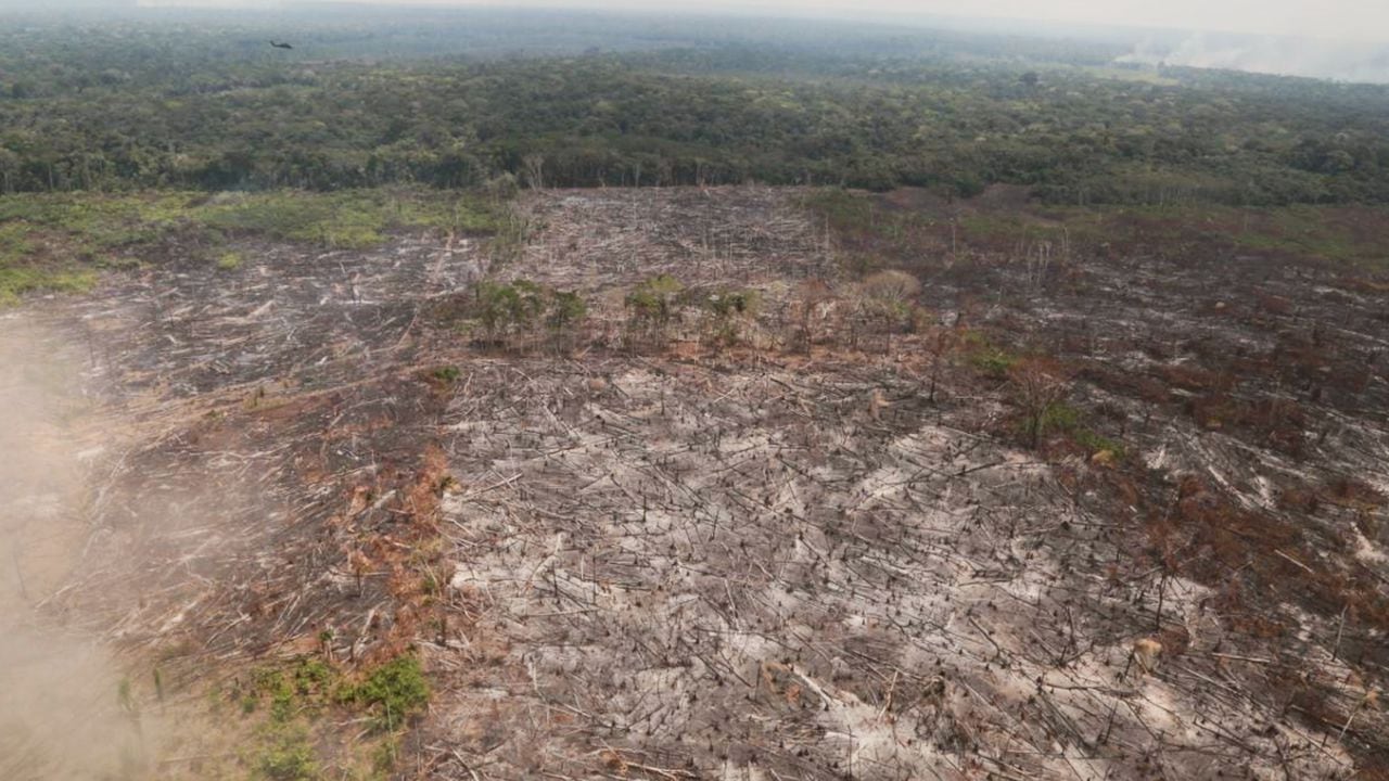 Deforestación en la Serranía de Chiribiquete. Foto: Fiscalía General de la Nación.