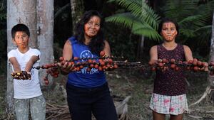 Comunidades indígenas de la Amazonia pueden desarrollar proyectos sostenibles recolectando los superfrutos de esta región para elaborar bebidas naturales.
