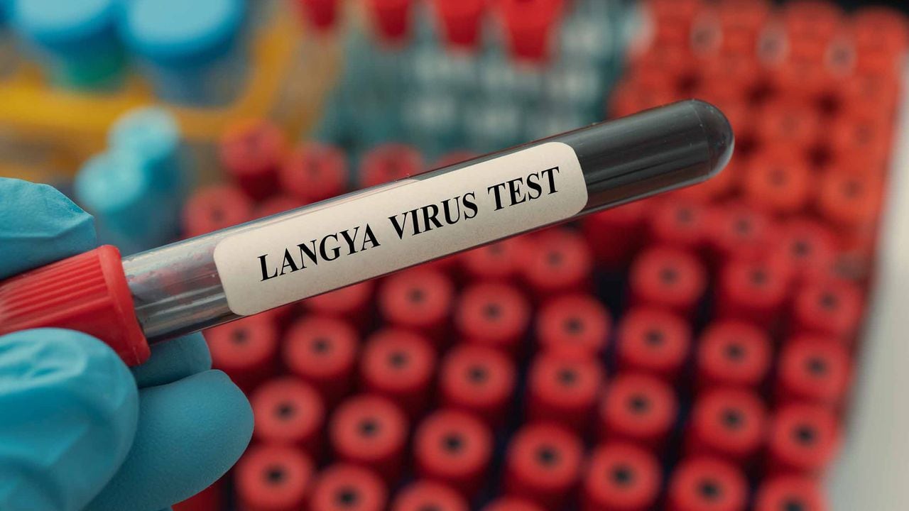 Virus Langya