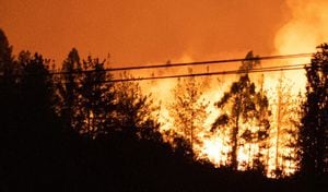 En 2022, la región de Valparaiso también sufrió duros incendios que consumieron grandes hectáreas de bosque