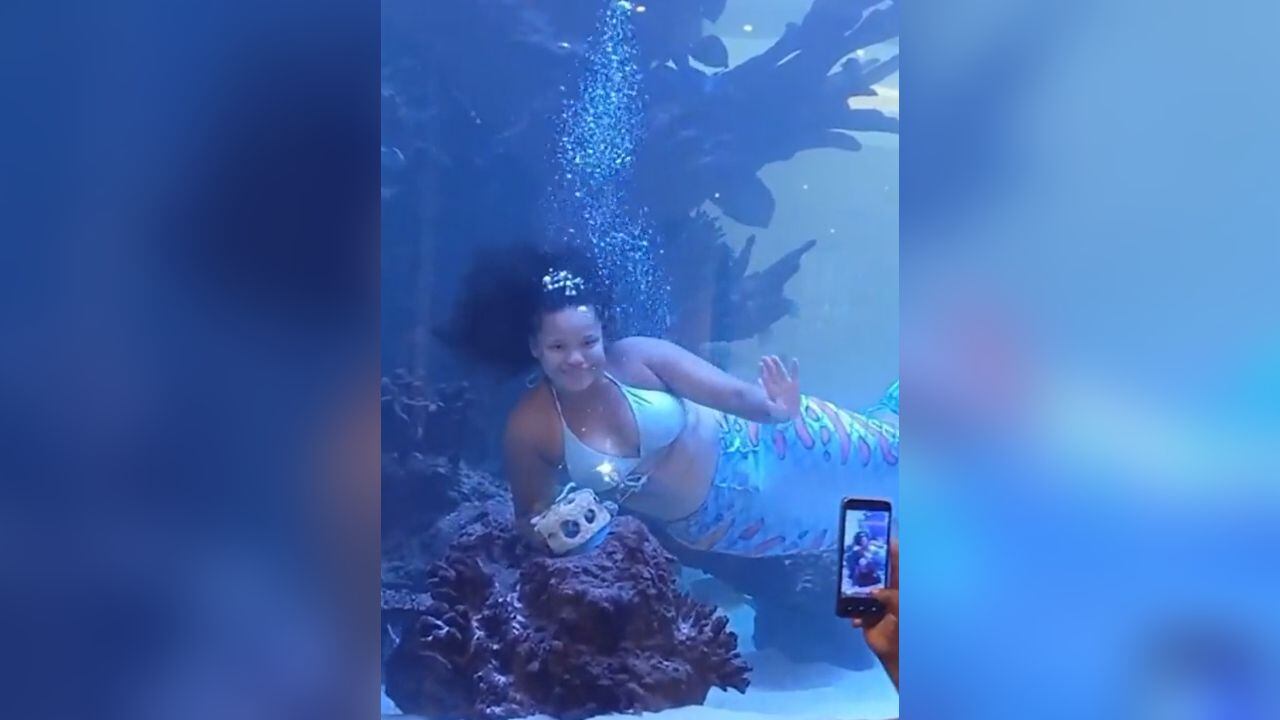 La mujer se encontraba realizando un show al interior de un acuario.