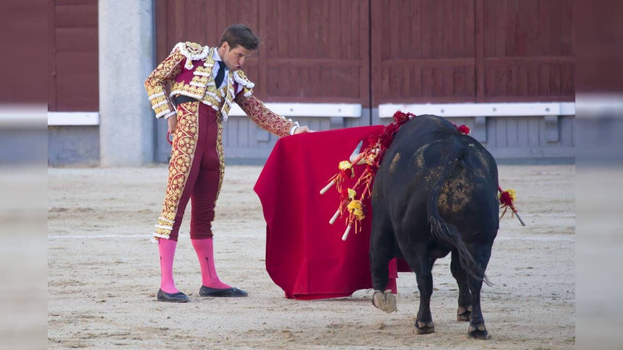 El torero español estaba esperando el fin de esta temporada para anunciar su salida indefinida.