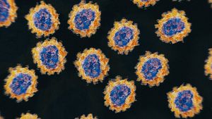 Cuando las mutaciones cambian lo suficiente la estructura de todos ellos, estamos ante un nuevo serotipo de ese virus. BBC - GETTY