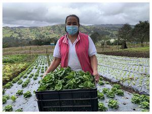 María Hilda Ramírez, una de las emprendedoras de la zona rural de Bogotá que ofrecerá sus productos en el mercado que se llevará a cabo en Plaza de las Américas.