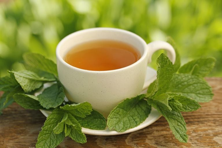 Cuáles son los beneficios del té de tila y cómo prepararlo?